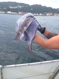 Off he goes, back to his mates!