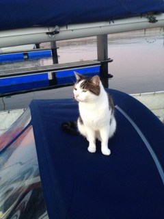 On watch. Guarding against all evils.