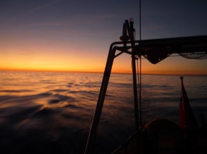 Not very far....but very nice!